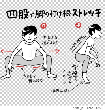 四股で内腿裏腿ストレッチ 126493789