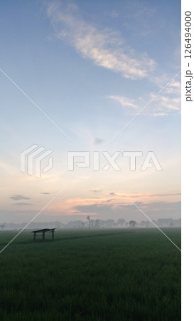 Peaceful Dawn over Rice Fields and Hut 126494000