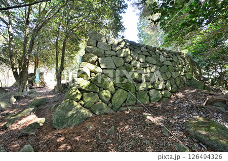 美濃国「小里城」　本丸と曲輪 126494326