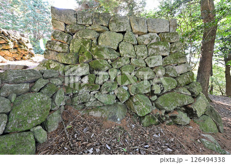 美濃国「小里城」　本丸と曲輪 126494338