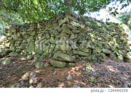 美濃国「小里城」　本丸と曲輪 126494339