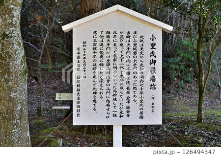 美濃国「小里城」 本丸と曲輪 美濃国「小里城」 本丸と曲輪 126494347