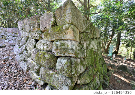 美濃国「小里城」　本丸と曲輪 126494350