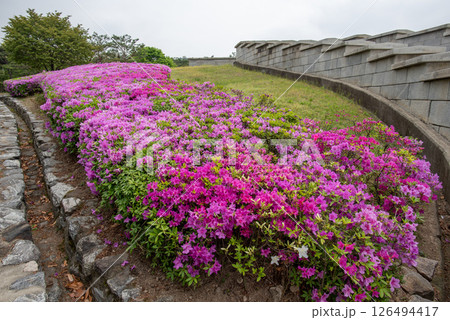 Seoul City Wall in Namsan hill park, old fortress protecting Seoul, capital of South Korea 126494417