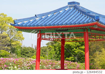 大仙公園 日本庭園(大阪府堺市)3 大仙公園 日本庭園(大阪府堺市)3 126494532