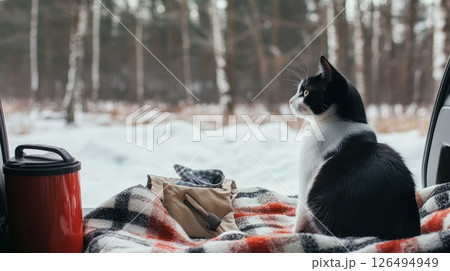 Cute Tuxedo Cat Relaxing on a Soft Blanket in a Car, Road Trip Winter travel Cute Tuxedo Cat Relaxing on a Soft Blanket in a Car, Road Trip Winter travel 126494949
