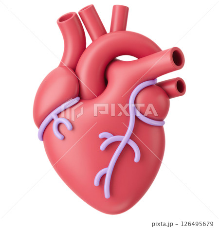 Human heart illustration medical science digital art creative studio close-up view anatomy concept for health awareness 126495679