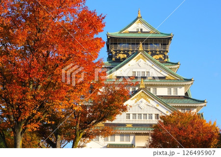 大阪城　紅葉 126495907