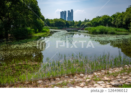 Seoul Forest large public park in Seongdong District in Seoul, capital of South Korea Seoul Forest large public park in Seongdong District in Seoul, capital of South Korea 126496012