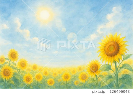 ひまわりと青空 ひまわりと青空 126496048