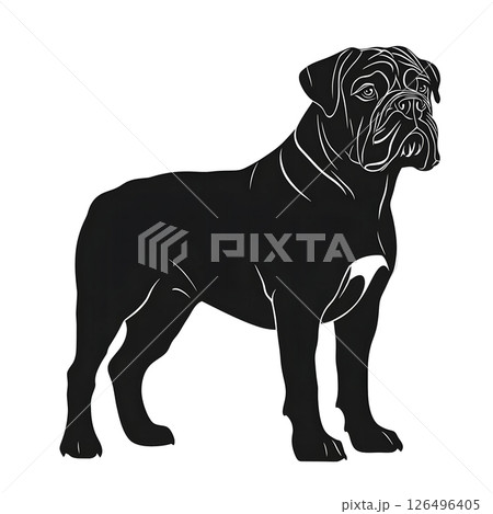 Majestic Bullmastiff Silhouette: A Striking Canine Portrait 126496405