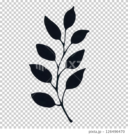 Elegant Silhouette of a Branch with Leaves against a Sage Green Background: A Botanical Illustration 126496470
