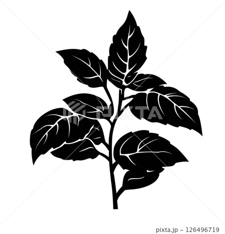 Elegant Black and White Silhouette of a Sprig of Leaves Elegant Black and White Silhouette of a Sprig of Leaves 126496719