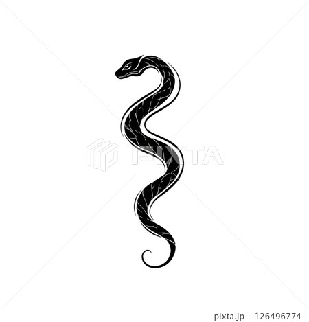 Elegant Black Snake Illustration: A Serpentine Design Elegant Black Snake Illustration: A Serpentine Design 126496774