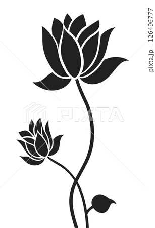 Elegant Black and White Lotus Flower Illustration Elegant Black and White Lotus Flower Illustration 126496777