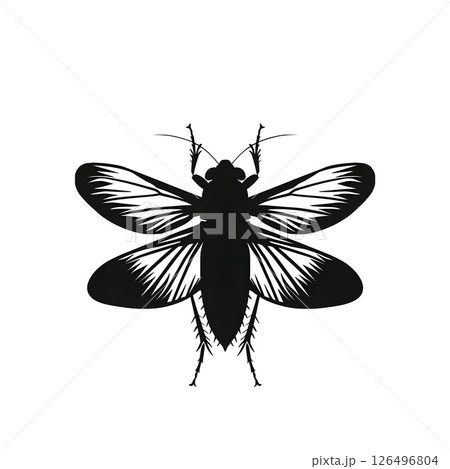 Elegant Black and White Insect Silhouette: A Detailed Vector Graphic of a Cockroach with Spread Wings 126496804