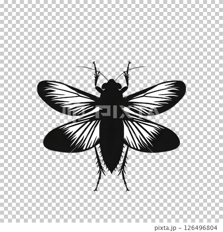 Elegant Black and White Insect Silhouette: A Detailed Vector Graphic of a Cockroach with Spread Wings 126496804