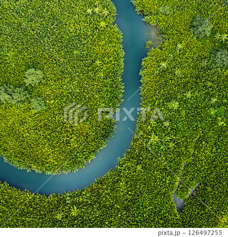 winding river in jungle, tropical landscape aerial view winding river in jungle, tropical landscape aerial view 126497255
