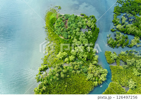 Filipino fishing boat sailing on river in jungle, tropical landscape 126497256