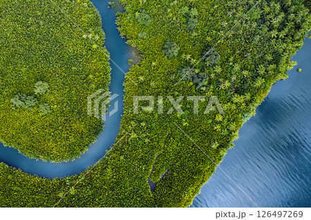 winding river in jungle, tropical landscape aerial view winding river in jungle, tropical landscape aerial view 126497269