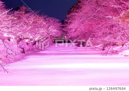 弘前城　雪まつり 126497684