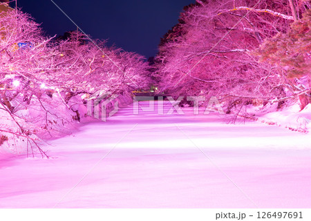 弘前城　雪まつり 126497691