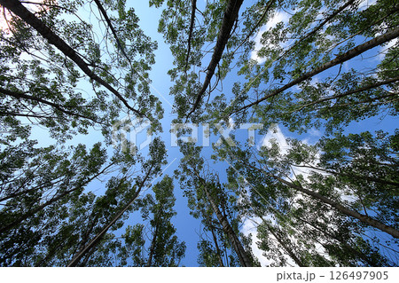 Traveling away from the city in the countryside on weekends 126497905