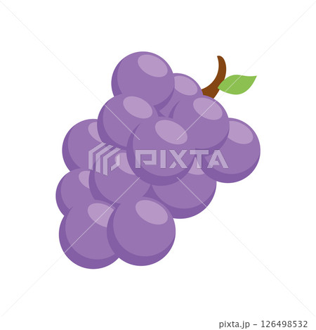 Purple grapes bunch cluster. Vector 126498532