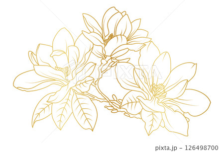 Golden magnolia flowers line art isolated on white background. Luxury magnolia floral design elements for invitation, wedding, wallpaper, print template, vector illustration Golden magnolia flowers line art isolated on white background. Luxury magnolia floral design elements for invitation, wedding, wallpaper, print template, vector illustration 126498700
