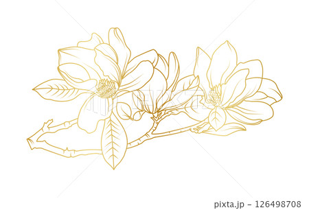 Golden magnolia flowers line art isolated on white background. Luxury magnolia floral design elements for invitation, wedding, wallpaper, print template, vector illustration 126498708