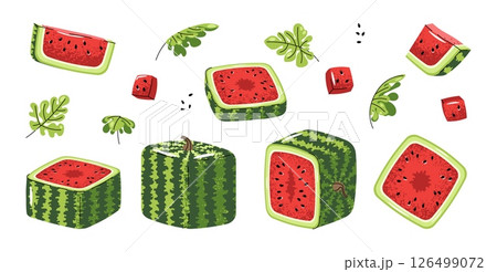 Square Watermelon Icon Set Flat Illustrations of Whole Fruit and Slices on White Background. Minimalist Design for Stickers, Logos, Summer Graphics, Food Packaging, Social Media and Digital Projects 126499072