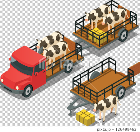 Isometric farm truck trailer carrying dairy livestock 126499462