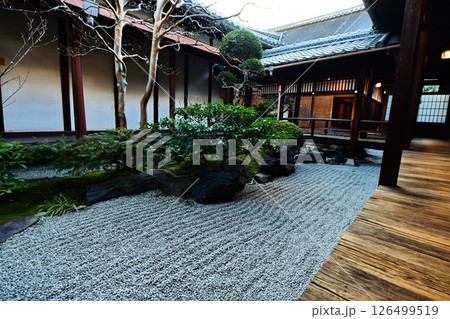 京都府　東寺 観智院・庭園「四方正面の庭」 京都市 南区 九条町　2022年2月 126499519