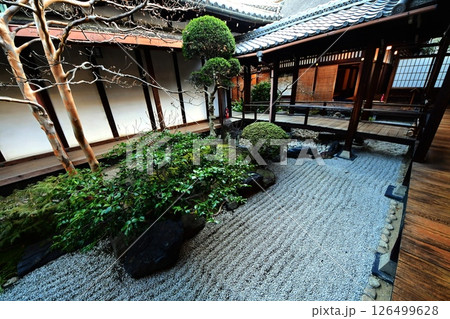 京都府 東寺 観智院・庭園「四方正面の庭」 京都市 南区 九条町 2022年2月 京都府 東寺 観智院・庭園「四方正面の庭」 京都市 南区 九条町 2022年2月 126499628