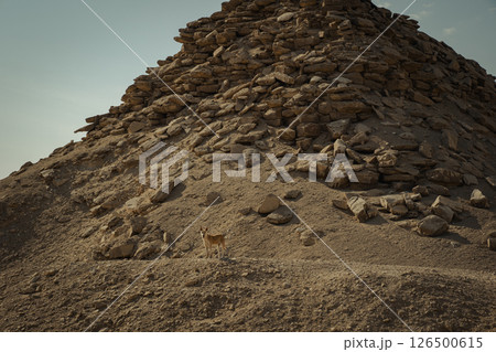 The pyramid of Djoser. Step Pyramid of Djoser and The pyramid complex of Userkaf in the Sahara desert in the Egypt	 126500615