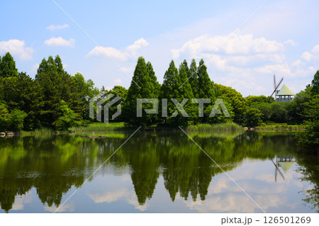 松伏総合公園の風車 埼玉県北葛飾郡松伏町 松伏総合公園の風車 埼玉県北葛飾郡松伏町 126501269