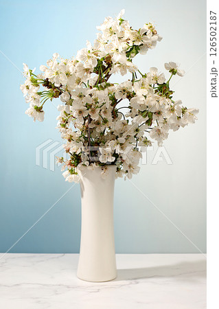 Beautiful spring blooming cherry branches in vase on light background,Abstract flower arrangement flyer. still life and template for design,floral holiday card and summer greeting concept. Beautiful spring blooming cherry branches in vase on light background,Abstract flower arrangement flyer. still life and template for design,floral holiday card and summer greeting concept. 126502187