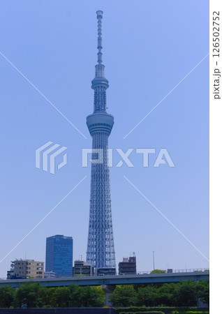 東京都荒川区隅田川沿い2025年5月 東京都荒川区隅田川沿い2025年5月 126502752
