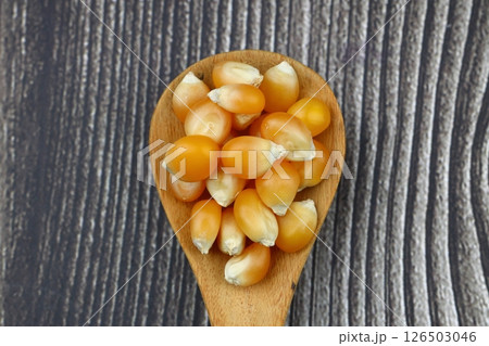 Corn seeds for popcorn isolated on dark rustic background. Copy space Corn seeds for popcorn isolated on dark rustic background. Copy space 126503046