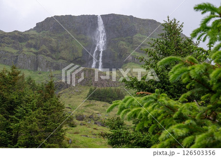 Tall waterfall cascading down rocky green cliff in lush forest landscape view in Iceland 126503356