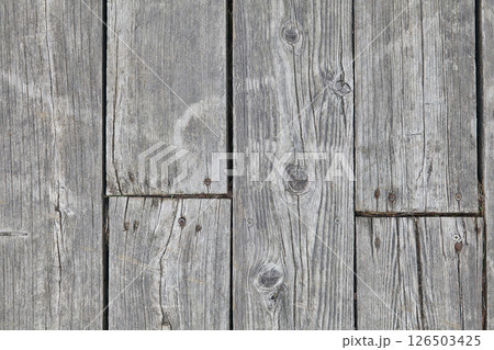 weathered wooden boardwalk on a trail in the dunes weathered wooden boardwalk on a trail in the dunes 126503425