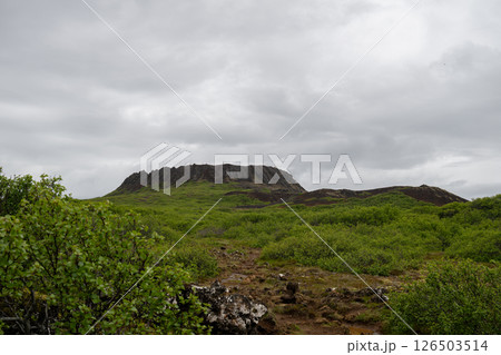 view of the big old crater eldborg in iceland in summer 126503514