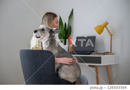 Women works from home with dog on lap at desk at home, concept of remote work and pet companionship Women works from home with dog on lap at desk at home, concept of remote work and pet companionship 126503564