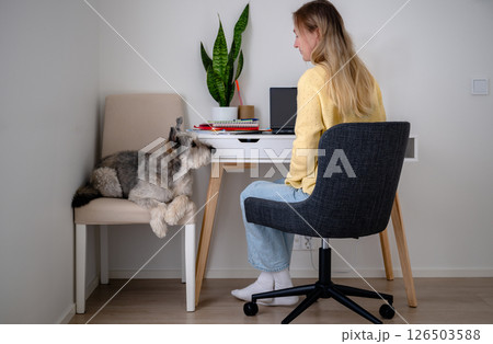 Woman working at a white desk in a home office while her dog lounges on a nearby chair in cozy home Woman working at a white desk in a home office while her dog lounges on a nearby chair in cozy home 126503588