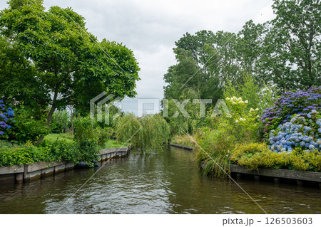 Landscape view of famous Giethoorn village in Netherlands with canals, trees and plants 126503603