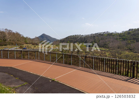 新緑の赤城山　赤城白樺牧場の展望デッキ 126503832