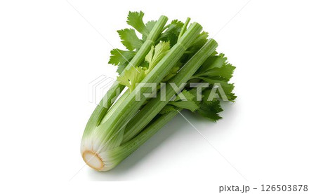 Fresh green celery stalks mockup isolated on white background, for diet, nutrition, or healthy lifestyle product branding. Fresh green celery stalks mockup isolated on white background, for diet, nutrition, or healthy lifestyle product branding. 126503878