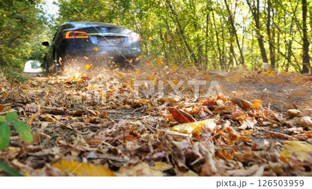 Black electric sedan driving fast along an empty road on yellow leaves. Powerful electrical car crossing through alley. Colorful autumn foliage flying out from under wheel of auto. Low view 126503959