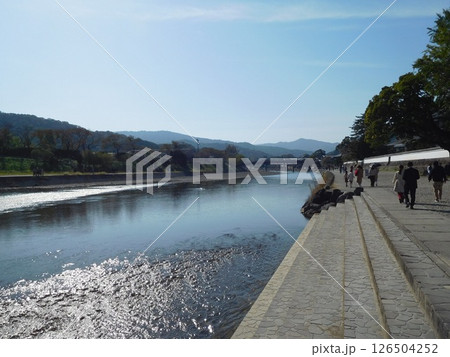 伊勢神宮の五十鈴川 126504252