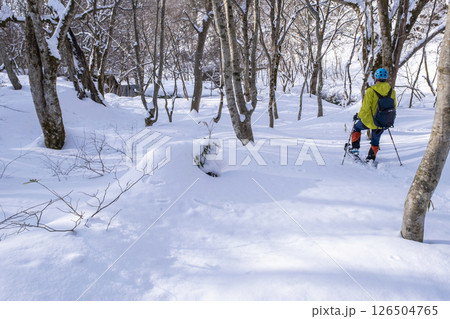 森の新雪をスノーシューで楽しむイメージ 大山木谷沢渓流 森の新雪をスノーシューで楽しむイメージ 大山木谷沢渓流 126504765